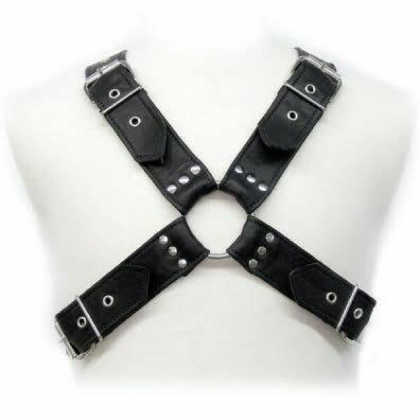 imagen LEATHER BODY - BUCKLES HARNESS