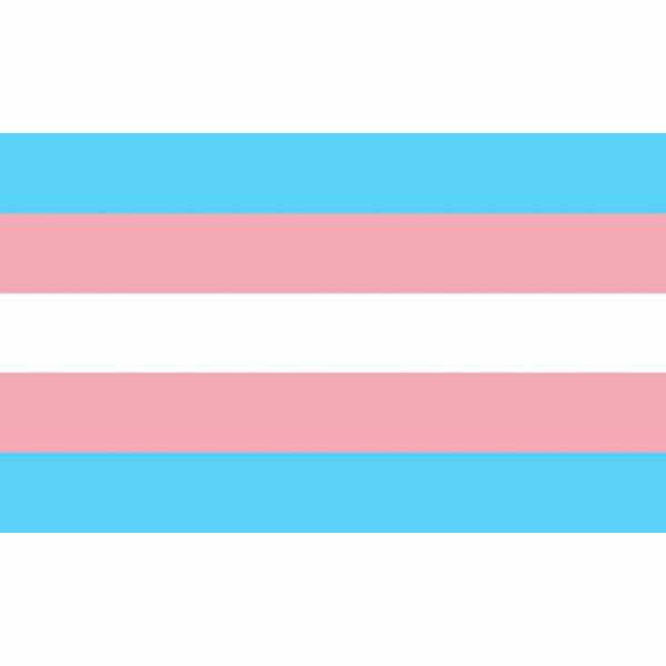 imagen PRIDE - BANDERA 90 X 150 TRANSEXUAL