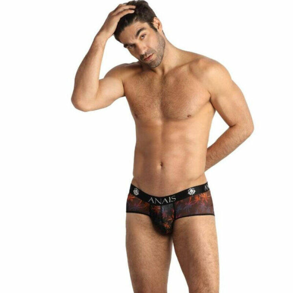 imagen ANAIS MEN - CHILL BOXER BRIEF L