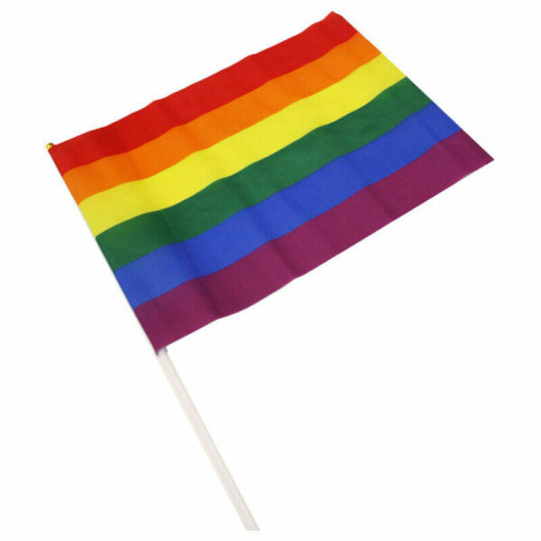 imagen PRIDE - BANDERIN MEDIANO BANDERA LGBT