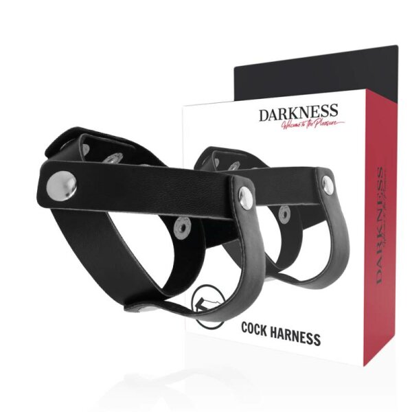 imagen DARKNESS - ANILLO DE PIEL PARA PENE Y TESTICULOS