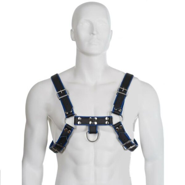 imagen LEATHER BODY - ARNES CUERO AZUL Y NEGRO CHEST BULLDOG