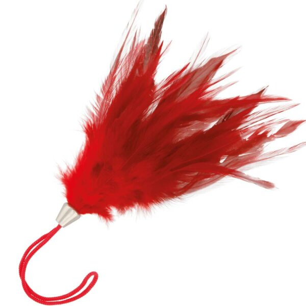 imagen DARKNESS - PLUMA ESTIMULADORA ROJO 17CM