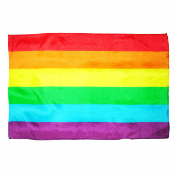 imagen PRIDE - BANDERA GRANDE LGBT