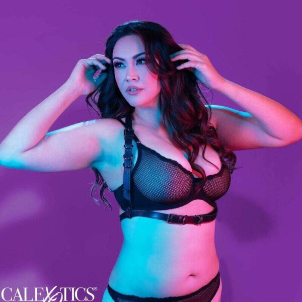 imagen CALEXOTICS - EUPHORIA ARNÉS HATLER CON HEBILLA TALLA GRANDE NEGRO